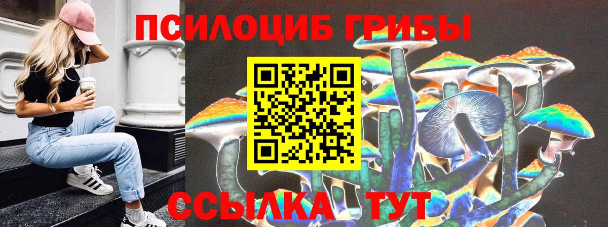 Галлюциногенные грибы Cubensis  купить закладку  Серпухов  Вход с VPN  Псилоцибиновые грибы Cubensis 